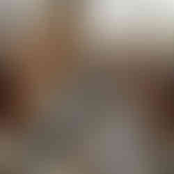 docente productivo social