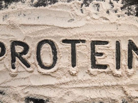 Understand Proteins - Clarify Your Mind!