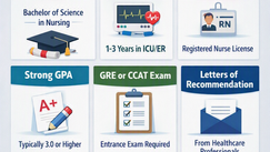 infogram outlining requirements and prerequisites for CRNA school