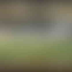 clima y el cultivo verde