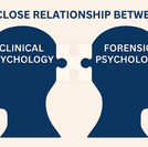 clinical and forensic psychology illustrated as two pieces of a puzzle