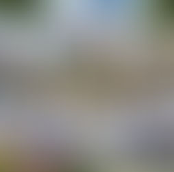 People in lab coats and masks work at dental stations outdoors, framed by modern building, trees, and flowers. Bright, calm setting.