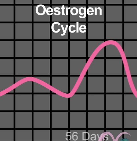 Why Oestrogen Clinic?
