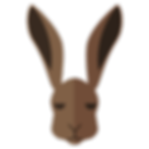 bunny Courtney Williamson Milford