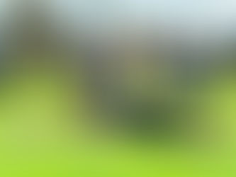 Youth Soccer: Fast Goalkeeper Reaction Drills