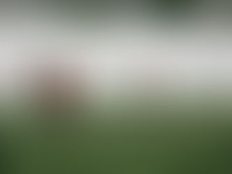 Fueling Wins: Soccer Fitness for Girls 13-14