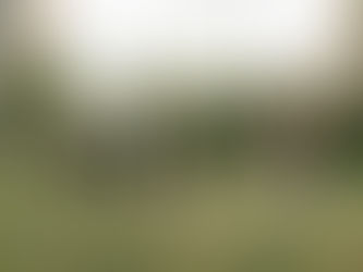 Dominate Formations: Youth Soccer Strategies