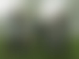 Youth Soccer: Manage Parents & Coach Better