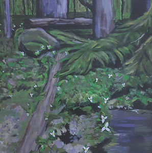 Trilliams_edited.jpg Trilliums at a local park