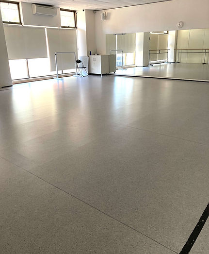 Photo of Studio 1 at Dragonfly Dance Studio
