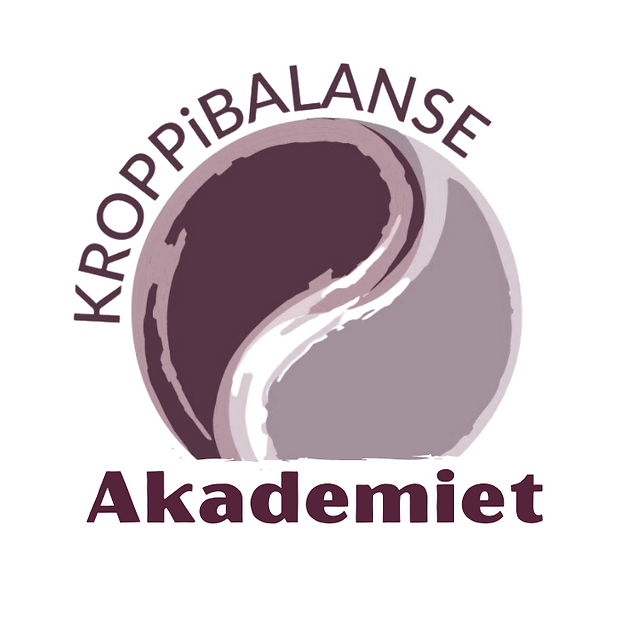 kib-akademiet-logo-rund-hvit