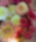IMG_1731.jpeg