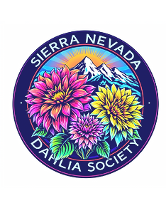 SNDS - Logo 1-2_edited.png