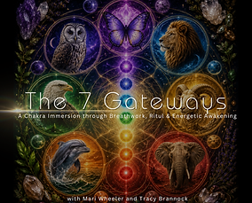 The 7 Gateways