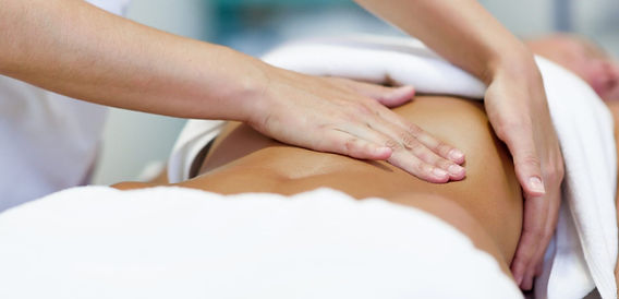 What is Visceral Manipulation?