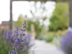 Good Gardens Don’t Just Happen