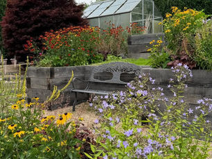Terraced garden created using sleeper beds, which are filled with shrubs and perennials with pink and yellow flowers. On one of the terraces there is a metal bench to sit and enjoy the garden, and the boundary consists of a hedges, and tall trees.