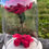 Miniature : Rose sous cloche (Collection Flo)