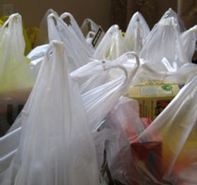 plastic bags.jpeg