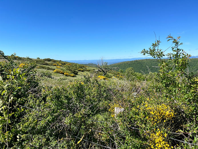 Paysage.jpeg