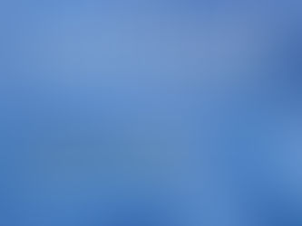 Lucid Ground - Pell Lucy Collective