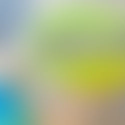 納得のいく治療を受けたい方へ｜「被害者請求」という賢い選択肢を知っていますか？｜広島市安佐南区 交通事故 被害者請求 自賠責保険 やり方