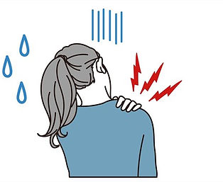 c51e651a5e87047081c9830f55bb646d_t (1).jpeg