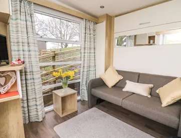 Modern living room with grey sofa, large window, and daffodils.
