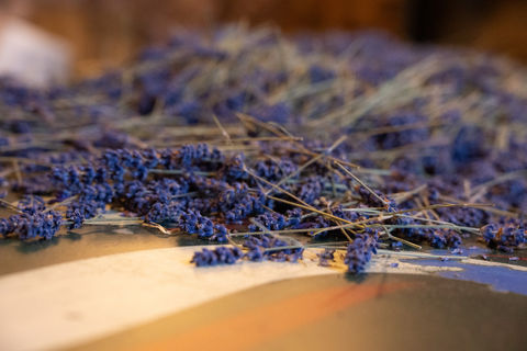 Dried lavender bundles on surface