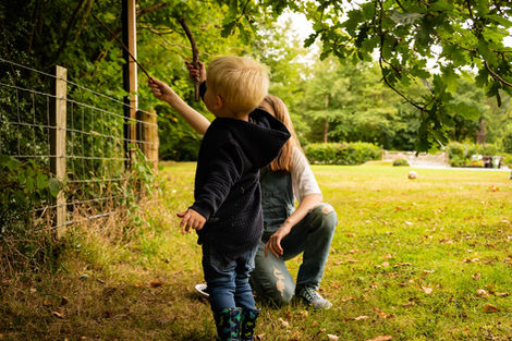 Toddler and adult exploring nature