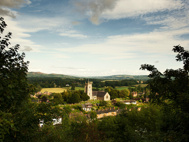 view of Montgomery from the castle trail