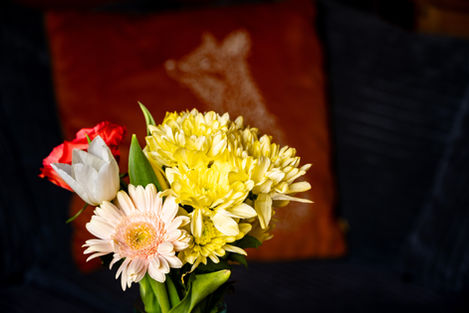 Close-up of yellow chrysanthemums, pink gerbera daisy, and white tulip