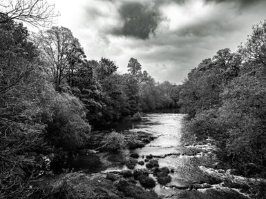 A Day in Newtown: A Journey Through History, Culture, and Nature