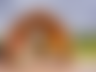 Escape to the Cambrian Mountains: Glamping & Camping in the Heart of Wales