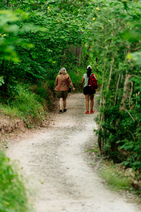 Walking down a country lane in Hay on Wye