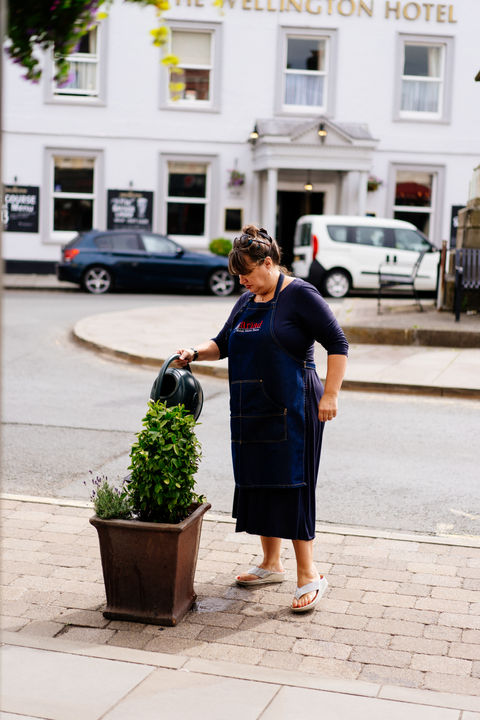Lady watering a plant