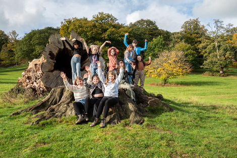 Happy children posing on a giant tree stump outdoors