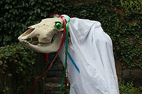 Mari Lwyd Walk