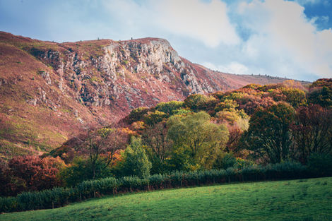 Elan Valley Autumn Part 2d.jpg