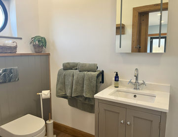 Modern bathroom with white toilet, sink vanity, mirror, and sage towels.