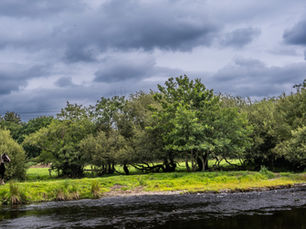 Top 7 Outdoor Adventures in the Cambrian Mountains