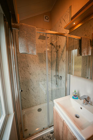 Toilet and shower area