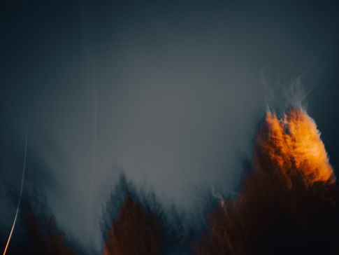 Night sky with the top of a fir tree lit up like it's on fire