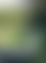 Create Your Own Quiet Space