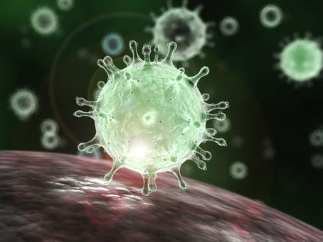 2019 Novel Coronavirus (SARS-CoV-2, COVID-19)