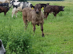 19467854_10213091335099240_9058399569897487698_o