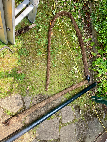 4m Tap-root completely blocked downpipe in Cringleford