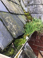 Corner Gutter Grass Blockage in Swardeston