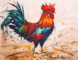 Cockerel