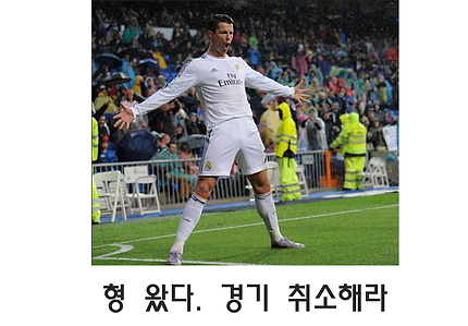 배팅사이트